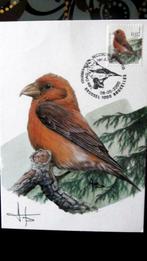 FIRST DAY OP KAART- VOGELS VAN BUZIN- DE KRUISBEK, Ophalen of Verzenden, Gestempeld, Dier of Natuur