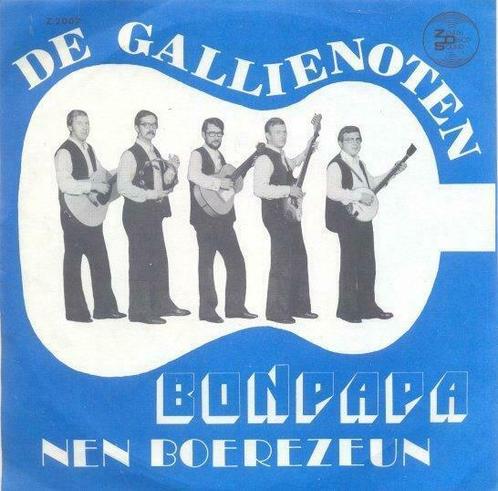 De Gallienoten – Bonpapa – Single, CD & DVD, Vinyles | Néerlandophone, Enlèvement ou Envoi