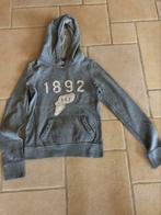 Trui abercrombie and fitch dames maat small, Ophalen of Verzenden