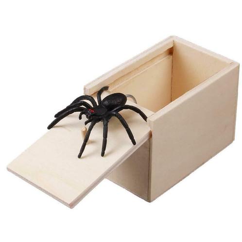 (nep)Spin in doos, Animaux & Accessoires, Insectes & Araignées, Araignée ou Scorpion