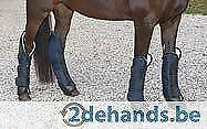Transport beenbescherming paarden Agrodieren, de beste prijs, Dieren en Toebehoren, Paarden en Pony's | Beschermers, Nieuw, Transport