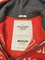 Abercrombie hoodie/sweater, Vêtements | Hommes, Pulls & Vestes, Comme neuf, Enlèvement ou Envoi, Orange