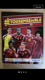 Tous ensemble album panini 2015, Collections, Collections Autre, Enlèvement ou Envoi