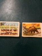 Chromos chocolade Martougin, Ophalen of Verzenden