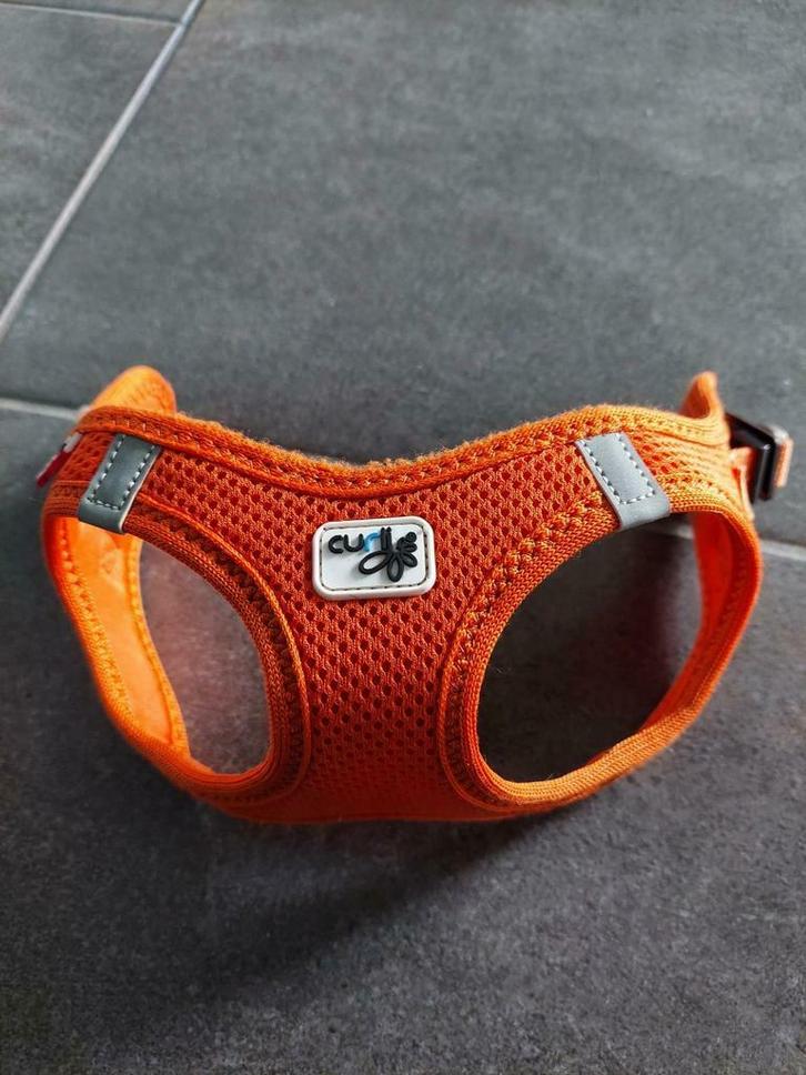 Harnais Air Mesh Curli xxs orange parfait état, Dieren en Toebehoren, Honden-accessoires, Zo goed als nieuw, Ophalen of Verzenden