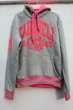 Sweat à capuche (S), Ophalen of Verzenden, Gedragen, Grijs
