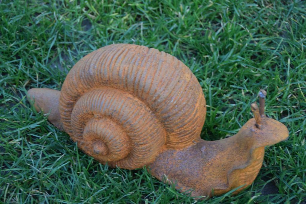 Slak Sluit Macro Slak Op Droog Blad In De Tuin. Reptielenslak Op Droge Bladeren. Grote Witte Slakken Van Weekdieren Met Bruin Bruine Image195434588