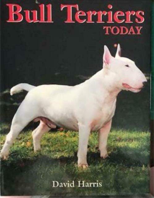 Bull Terriers Today, David Harris, Livres, Animaux & Animaux domestiques, Utilisé, Chiens, Enlèvement ou Envoi