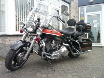 Une Harley-Davidson rapide et bien d'autres HD à Kees NL
