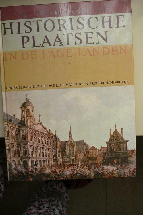 Historische plaatsen in de Lage Landen, Livres, Histoire nationale, Comme neuf, Enlèvement ou Envoi