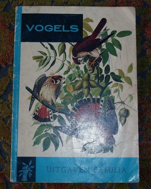 Antiek Boekje “Vogels – bij ons en elders” – Uitgaven Famili, Antiek en Kunst, Antiek | Boeken en Manuscripten, Ophalen