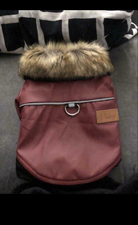 Manteau Taille  S  pour petit chien, Nieuw, Jongen of Meisje