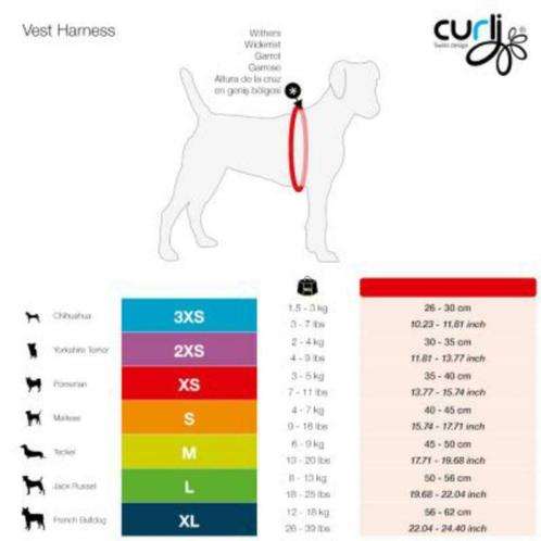 ② harnais chien curli taille XS ou S — Accessoires pour chiens — 2ememain