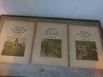 Raymond Cartier 3 journaux sur Pétain, Collections, 1940 à 1960, Enlèvement ou Envoi, Journal