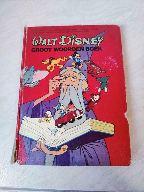 Disney boeken, Boeken, Kinderboeken | Jeugd | onder 10 jaar, Zo goed als nieuw, Ophalen of Verzenden
