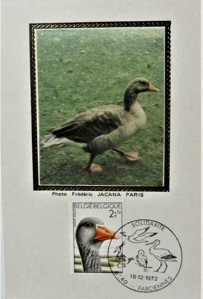 FIRST DAY OP KAART EN OP ZIJDE- THEMA VOGELS- BELGIË, Ophalen of Verzenden, Gestempeld, Dier of Natuur