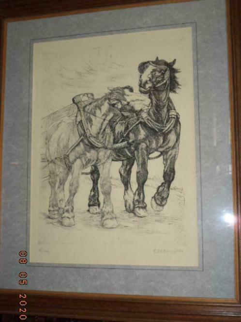 Ets: Constant DE BUSSCHERE: 2 trekpaarden.17/100. Ingeraamd., Antiek en Kunst, Kunst | Etsen en Gravures, Ophalen of Verzenden