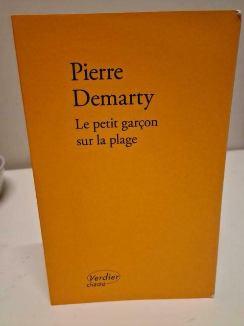 Pierre Demarty  Le petit garçon sur la plage, Boeken, Romans, Zo goed als nieuw, Ophalen