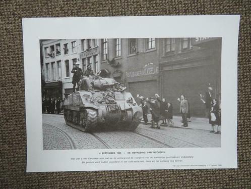 afbeelding bevrijding Mechelen, Verzamelen, Militaria | Tweede Wereldoorlog, Landmacht, Foto of Poster, Ophalen of Verzenden