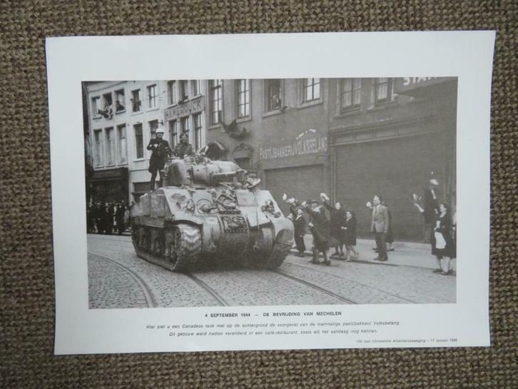afbeelding bevrijding Mechelen, Verzamelen, Militaria | Tweede Wereldoorlog, Landmacht, Foto of Poster, Ophalen of Verzenden