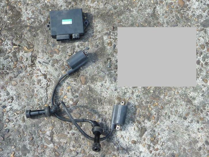 Bobijnen,CDI,kabelboom,schakelaars  Yamaha TRX 850, Motoren, Accessoires | Overige, Gebruikt, Ophalen of Verzenden