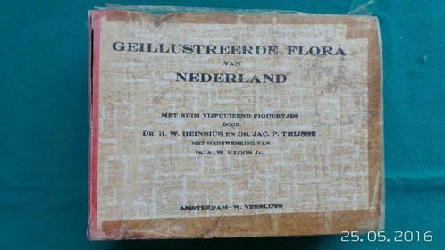 Geïllustreerde Flora Van Nederland., Boeken, Natuur, Gelezen, Bloemen, Planten en Bomen, Ophalen of Verzenden