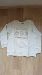 sweater grijs k design XL, Kleding | Dames, K-design, Maat 46/48 (XL) of groter, Nieuw, Ophalen of Verzenden