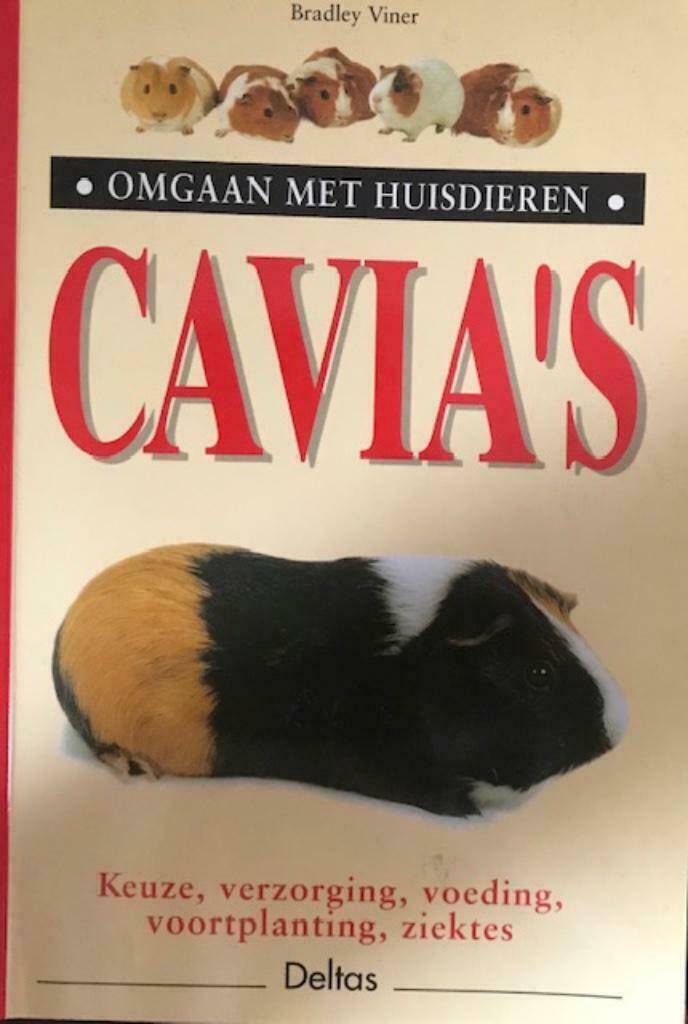 Cavia's,  Bradley Viner, Boeken, Dieren en Huisdieren, Konijnen of Knaagdieren, Ophalen of Verzenden