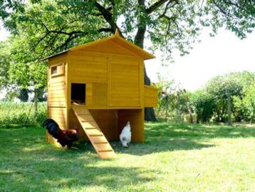 Poulailler 18 poules abri poule XXL cabaner poule coq lapin, Envoi, Neuf, Poulailler