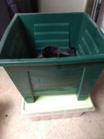 Pied sapin, Divers, Enlèvement ou Envoi, Comme neuf