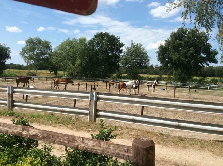 Stalling te huur, Dieren en Toebehoren, Stalling en Weidegang, Stalling, Weidegang, 4 paarden of pony's of meer