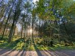 Chalet isolé en foret Ardennaise, 2 chambres, Autres, 8 personnes, Animaux domestiques acceptés