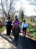 Paardenvriendelijke Ponyrijlessen in Vremde, Paardrijles of Ponykampen