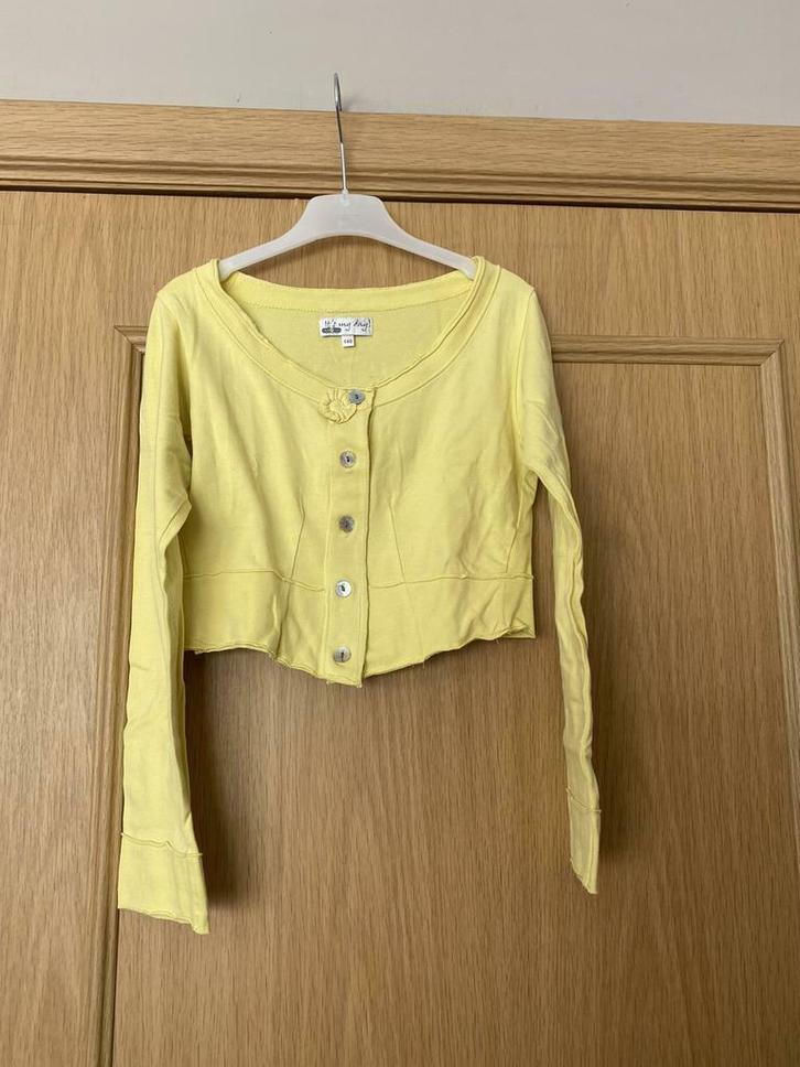 Mooi vestje uit de communie collectie - Maat 140, Kinderen en Baby's, Kinderkleding | Maat 140, Zo goed als nieuw, Meisje, Trui of Vest