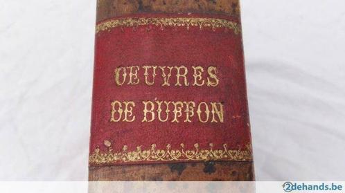 Mineralen Buffon Minéraux - Epoques de la nature ca. 1855, Antiek en Kunst, Antiek | Boeken en Manuscripten, Ophalen of Verzenden