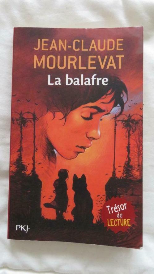 Livre "La balafre", Livres, Livres pour enfants | Jeunesse | 13 ans et plus, Utilisé, Non-fiction, Enlèvement ou Envoi