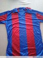 Origineel zijden t-shirt FC Barcelona, Sport en Fitness, Voetbal, Ophalen of Verzenden, Zo goed als nieuw, Shirt