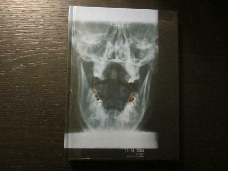 I see you  -Luc Vleugels-, Boeken, Kunst en Cultuur | Beeldend, Beeldhouwkunst, Ophalen of Verzenden