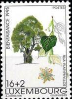 Luxembourg 1995 : Arbres - série de 4 timbres surtaxe, Luxembourg, Envoi, Non oblitéré