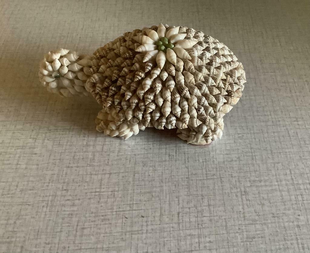 Tortue couverte de carapaces., Enlèvement ou Envoi, Comme neuf