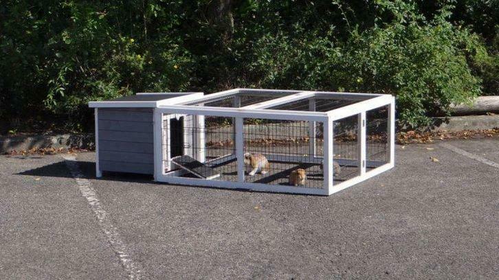 Clapier avec enclos maison lapin + parc XXL NEUF, Dieren en Toebehoren, Knaagdieren en Konijnen | Toebehoren, Nieuw, Verzenden