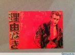 Andy Warhol, James Dean Artcard, Antiek en Kunst, Kunst | Overige Kunst