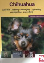 Chihuahua, over dieren, Enlèvement ou Envoi, Chiens