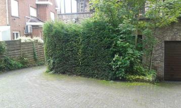 Autostaanplaats met toegangscode, electriciteit,water, licht beschikbaar voor biedingen