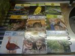 180 prenten van dieren, Verzamelen, Foto's en Prenten, Ophalen of Verzenden, Nieuw