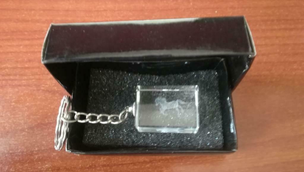 3D HORSE IN CUBE - 3D PAARD IN BLOK - LASER ETCH, Verzamelen, Sleutelhangers, Zo goed als nieuw, Dier of Natuur, Ophalen of Verzenden