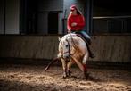 VS-HorseTraining : zadelmak maken en andere trainingen
