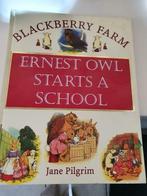 Blackberry Farm Ernest owl starts a school Jane Pilgrim, Comme neuf, Fiction général, Garçon ou Fille, Enlèvement ou Envoi