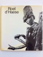 Roel d'Haese (KMSK, 1976), Enlèvement ou Envoi