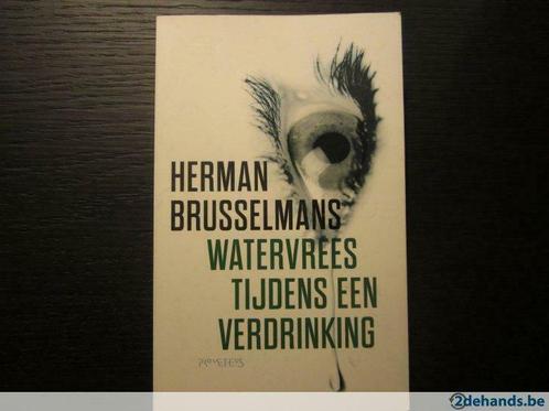 Watervrees tijdens een verdrinking (Herman Brusselmans), Livres, Littérature, Utilisé, Enlèvement ou Envoi